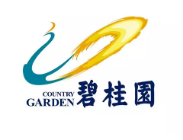东西湖碧桂园地产