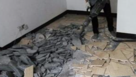 东西湖辅助拆除